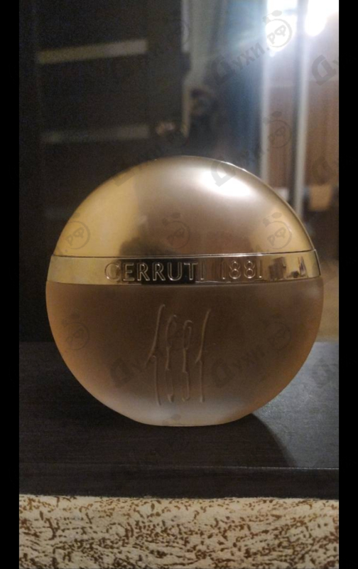 Купить Cerruti 1881