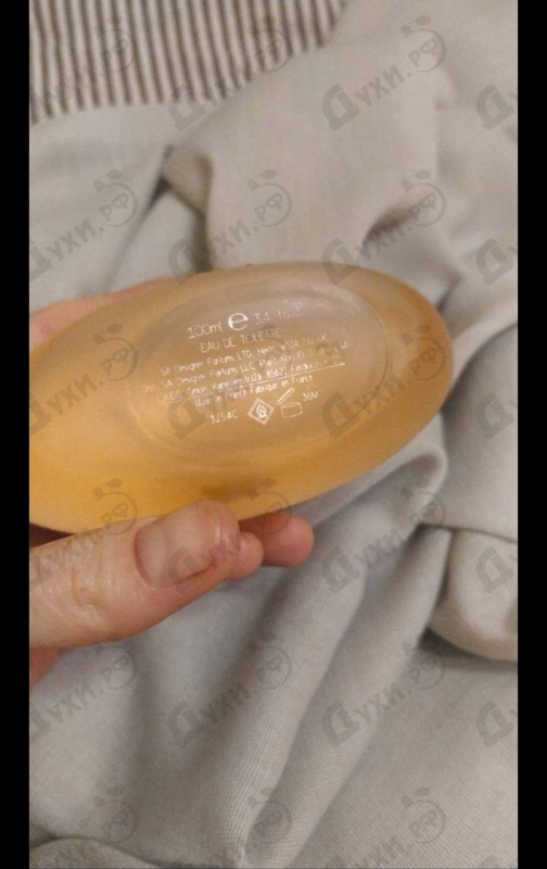 Купить 1881 от Cerruti