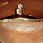 Отзывы Cerruti 1881