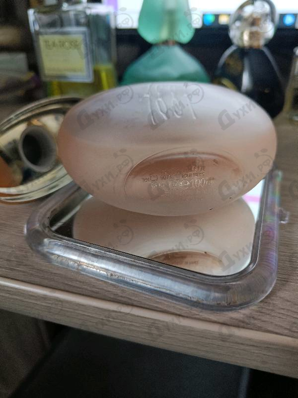 Парфюмерия 1881 от Cerruti