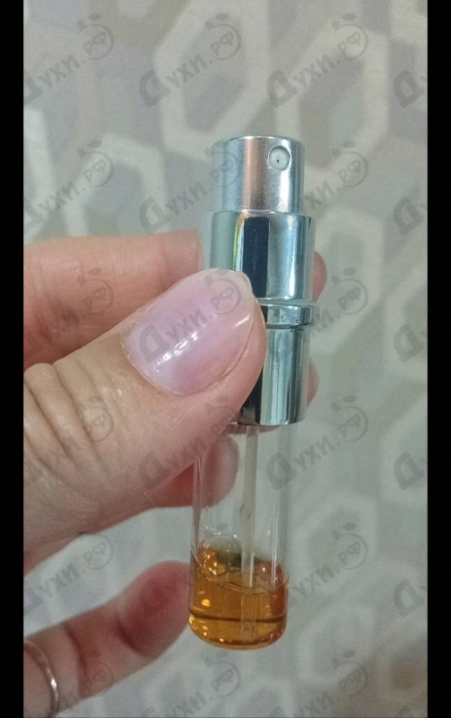 Парфюмерия 1881 Collection от Cerruti