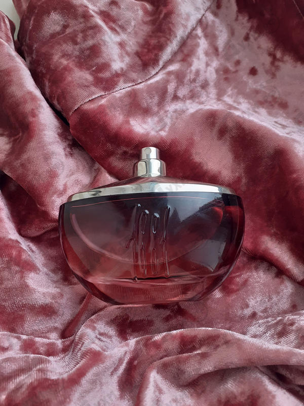 Купить 1881 Collection от Cerruti