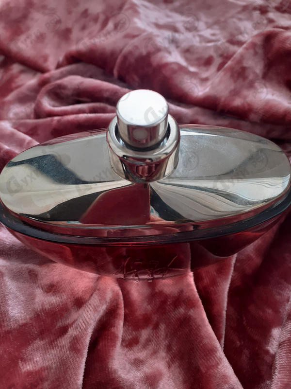 Купить 1881 Collection от Cerruti