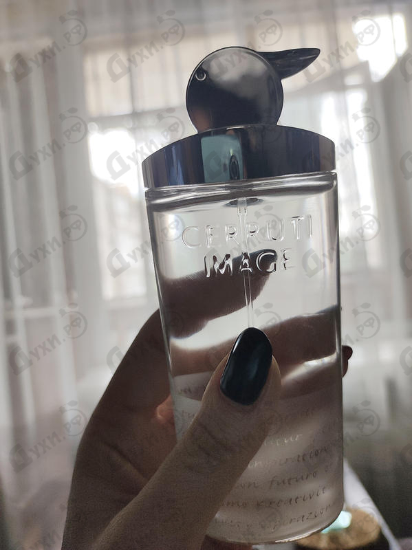 Духи Image от Cerruti