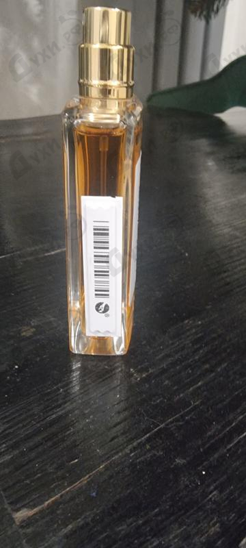 Купить Chanel Allure Sensuelle