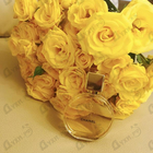 Отзывы Chanel Chance