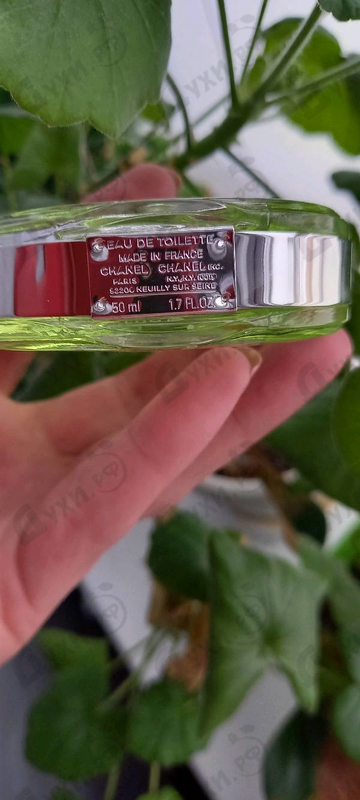 Парфюмерия Chance Eau Fraiche от Chanel