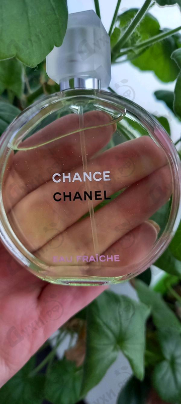 Купить Chance Eau Fraiche от Chanel