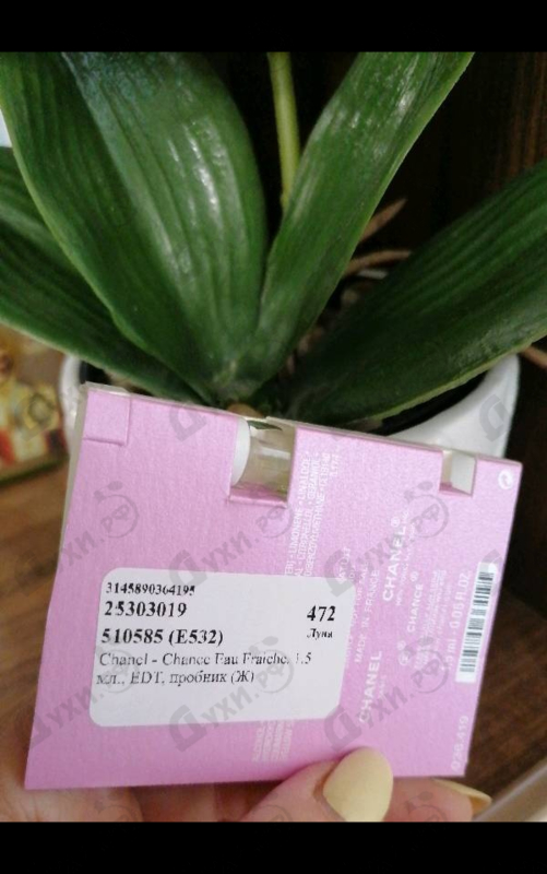 Купить Chance Eau Fraiche от Chanel