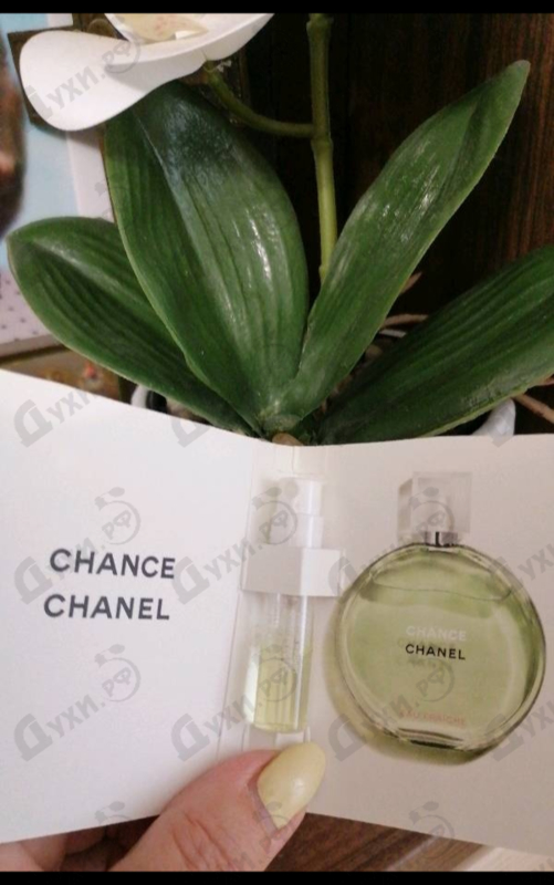 Отзыв Chanel Chance Eau Fraiche