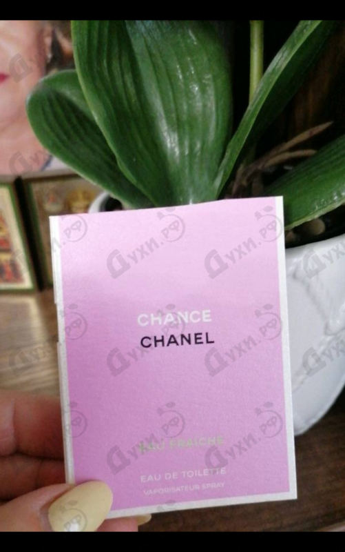 Купить Chanel Chance Eau Fraiche