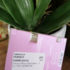 Отзывы Chanel Chance Eau Fraiche Купить Chance Eau Fraiche от Chanel