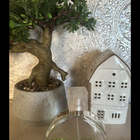 Парфюм Chanel Chance Eau Fraiche