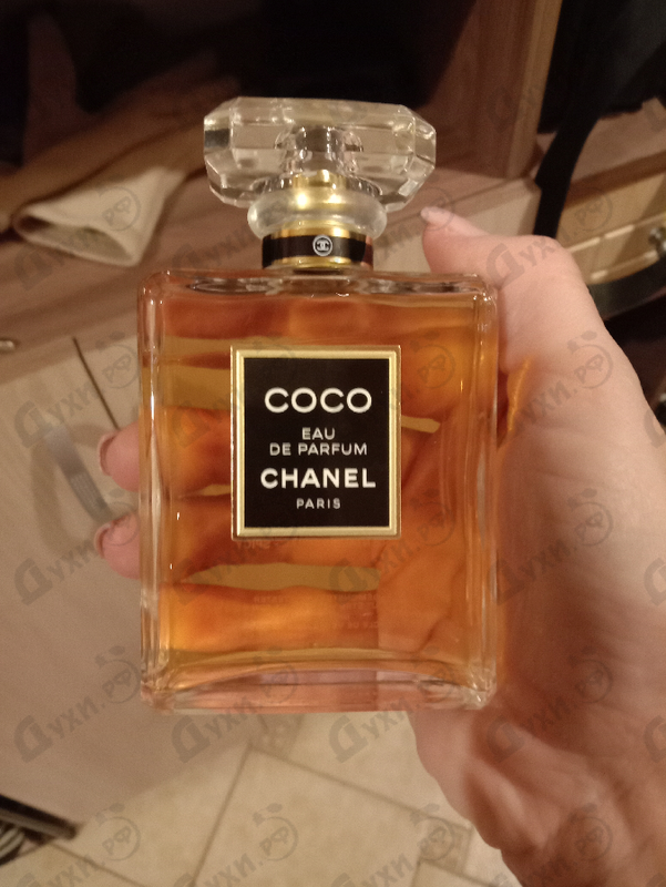 Купить Coco от Chanel