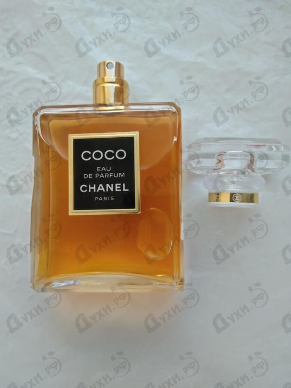 Купить Coco от Chanel