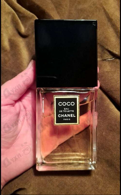 Купить Coco от Chanel