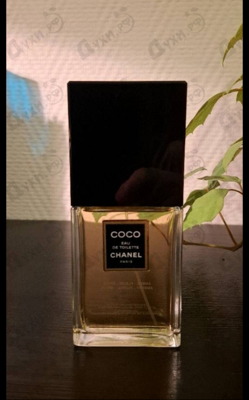Купить Coco от Chanel