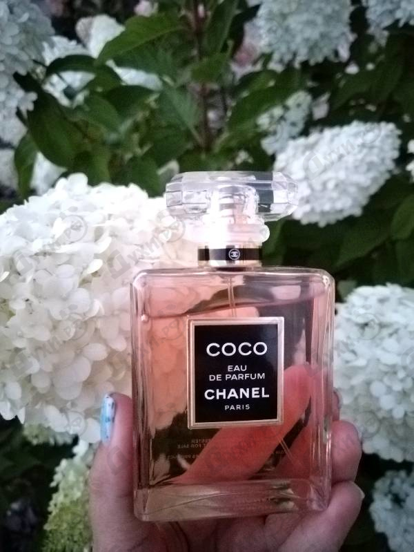 Парфюмерия Chanel Coco