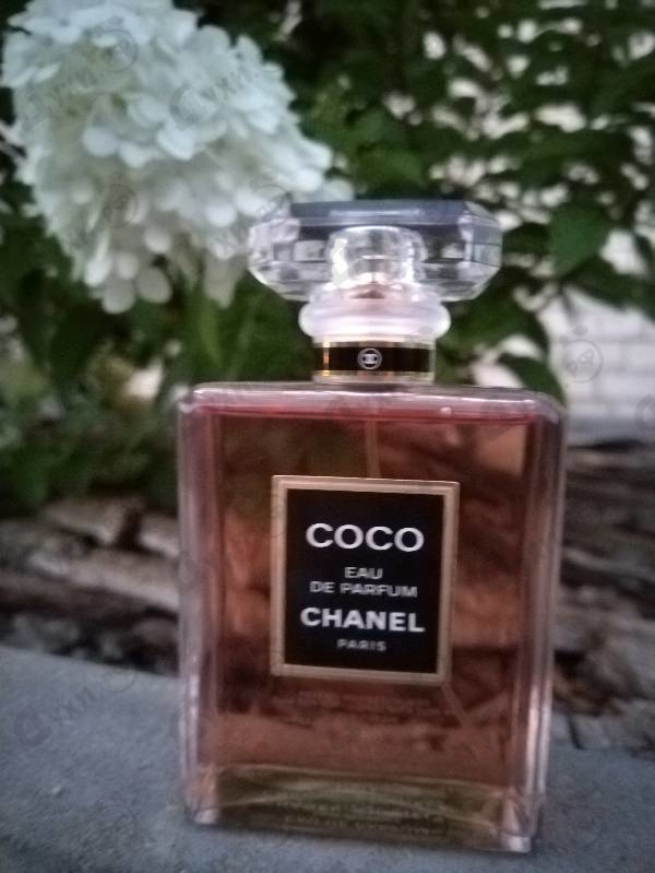 Духи Coco от Chanel