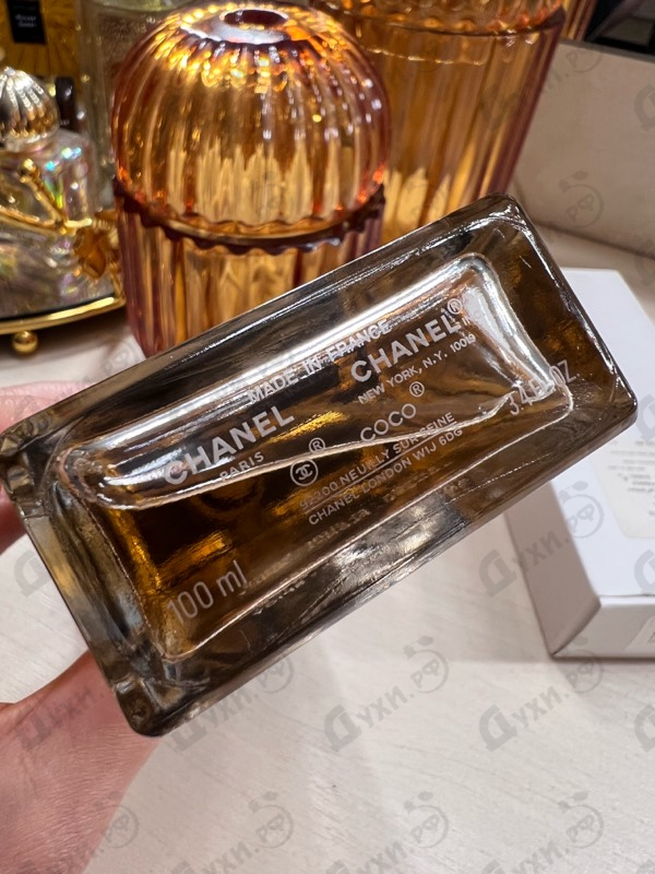 Купить Coco от Chanel