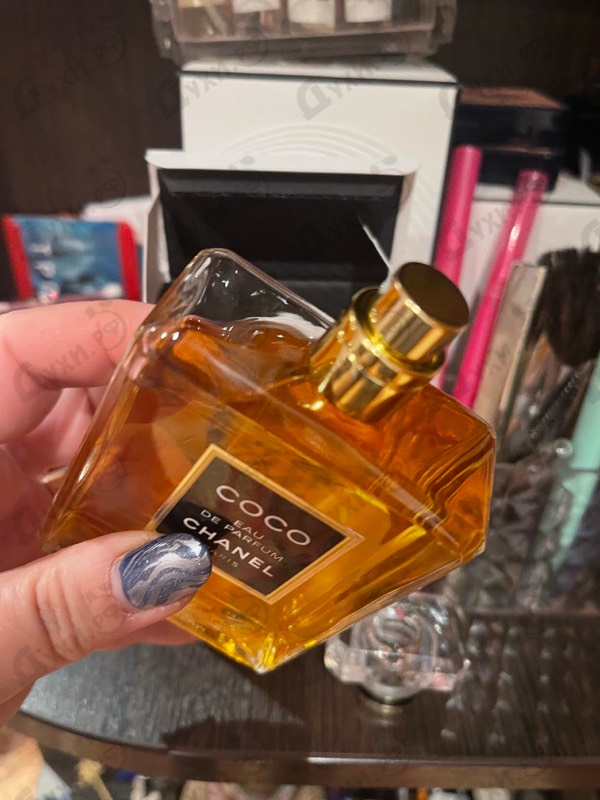 Купить Coco от Chanel