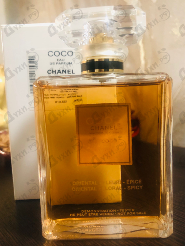 Купить Coco от Chanel