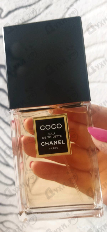 Купить Chanel Coco