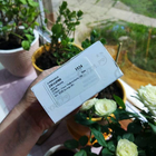 Парфюм Chanel Coco Mademoiselle