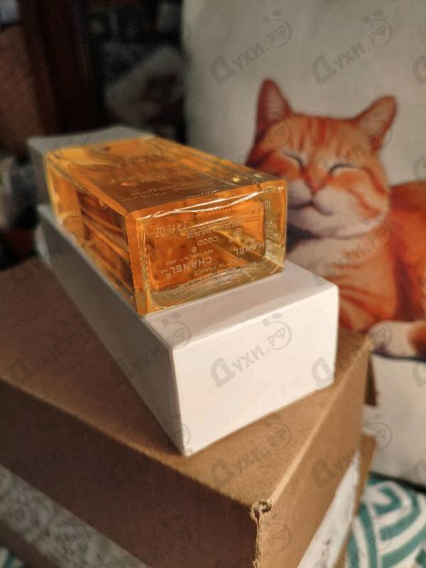 Парфюмерия Coco Mademoiselle от Chanel