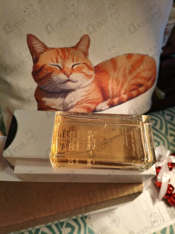 Купить Chanel Coco Mademoiselle