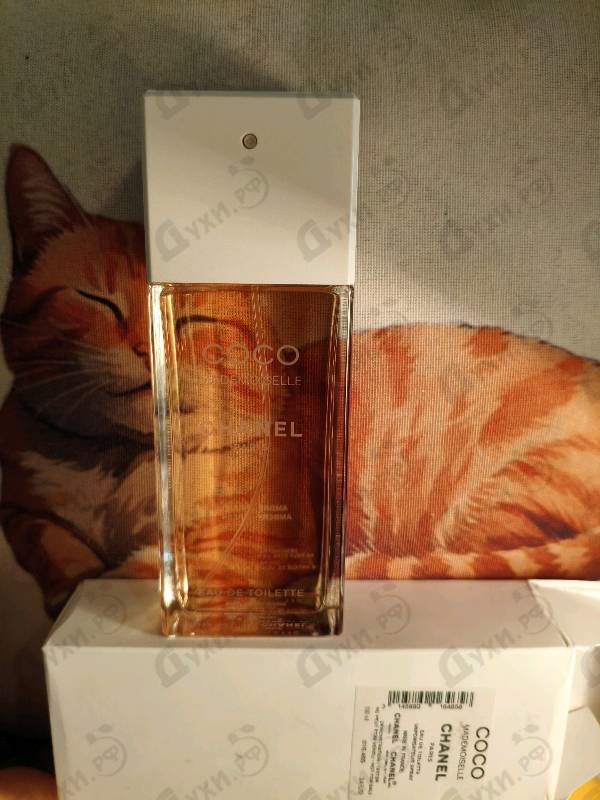 Купить Chanel Coco Mademoiselle