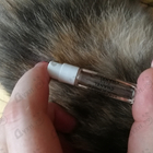 Парфюм Chanel Coco Mademoiselle