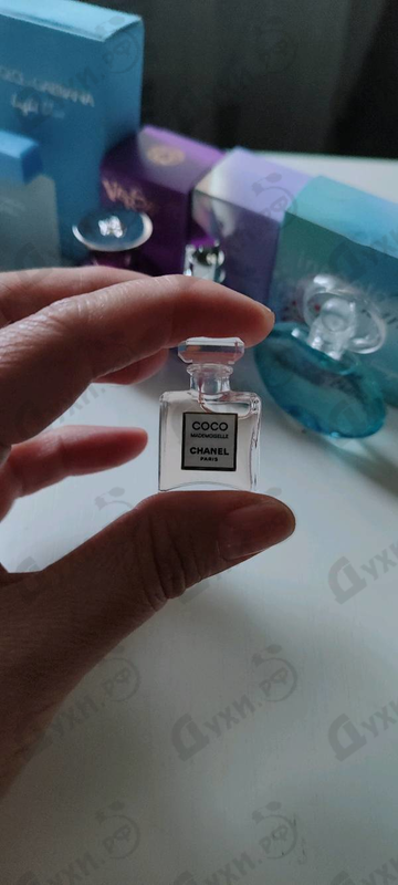 Купить Coco Mademoiselle от Chanel