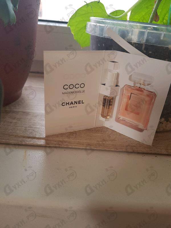 Отзывы Chanel Coco Mademoiselle