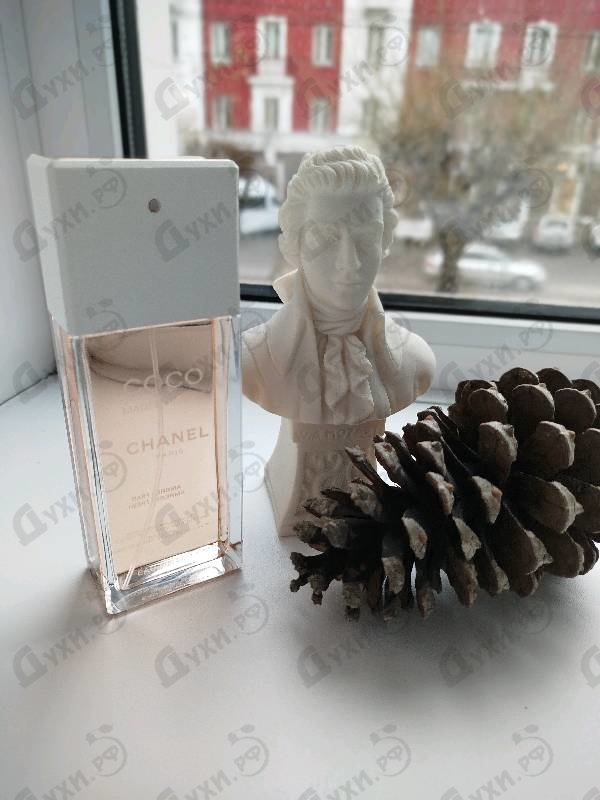 Отзыв Chanel Coco Mademoiselle