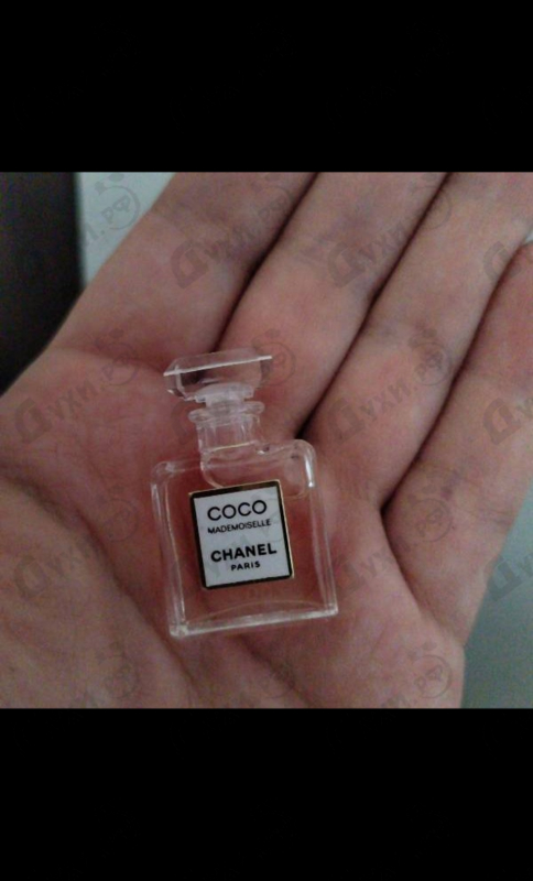 Купить Coco Mademoiselle от Chanel