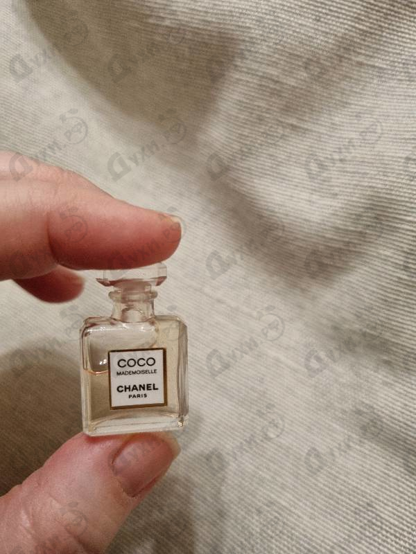Парфюмерия Chanel Coco Mademoiselle