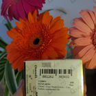 Духи Coco Mademoiselle от Chanel