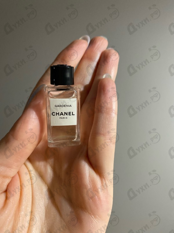 Купить Chanel Gardenia