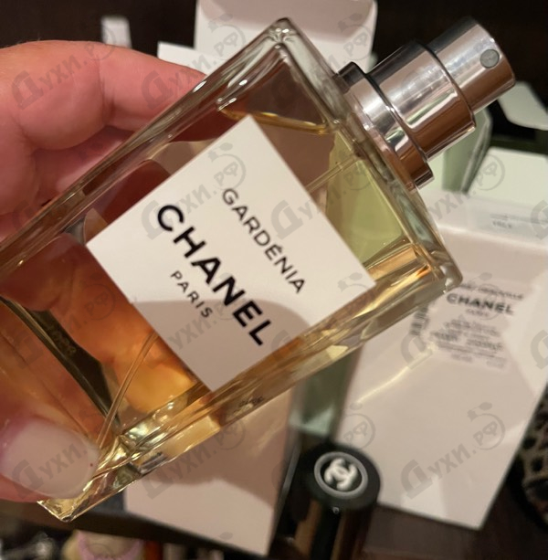 Купить Gardenia от Chanel