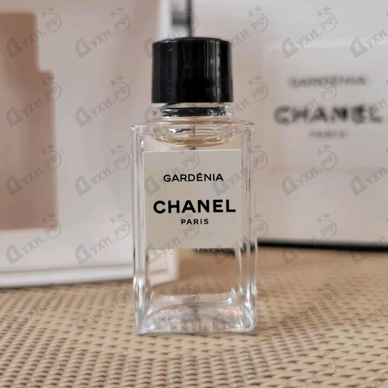 Купить Gardenia от Chanel