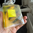 Отзыв Chanel 19