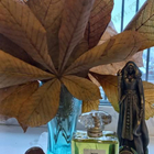 Отзывы Chanel 19