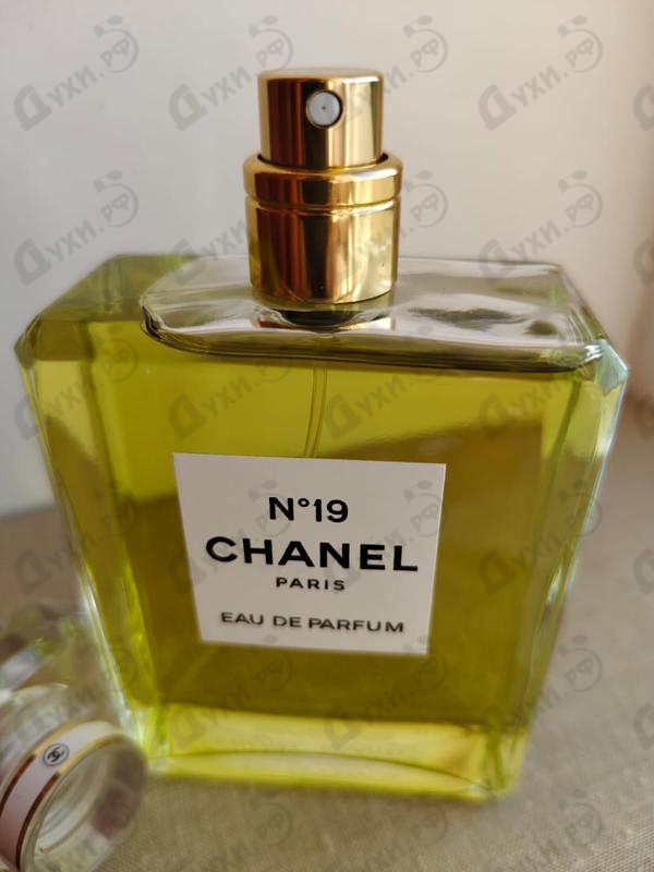 Купить Chanel 19