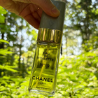 Отзыв Chanel 19