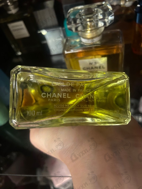 Купить Chanel 19