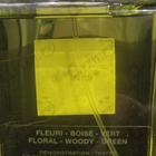 Отзывы Chanel 19