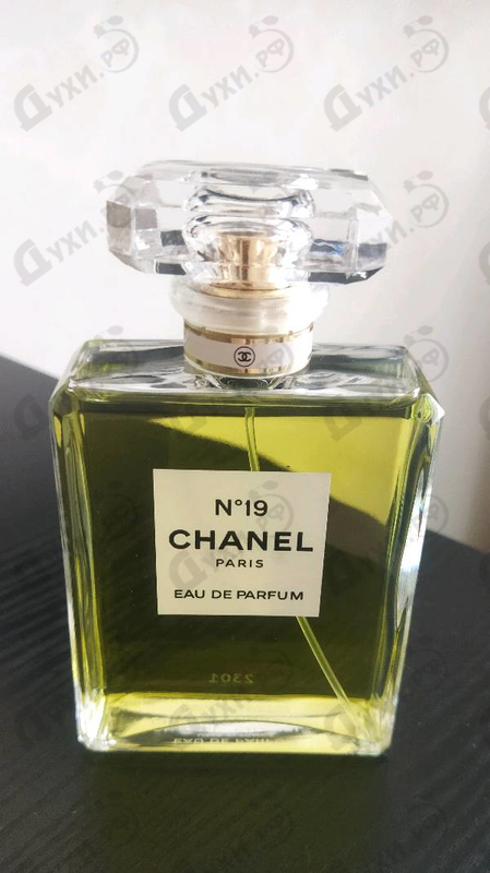 Купить Chanel 19