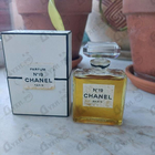 Отзывы Chanel 19