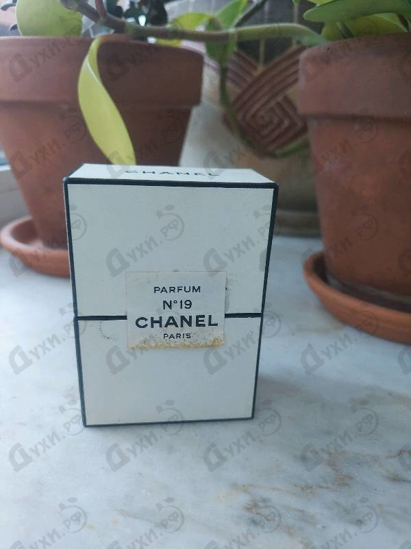 Парфюмерия 19 от Chanel